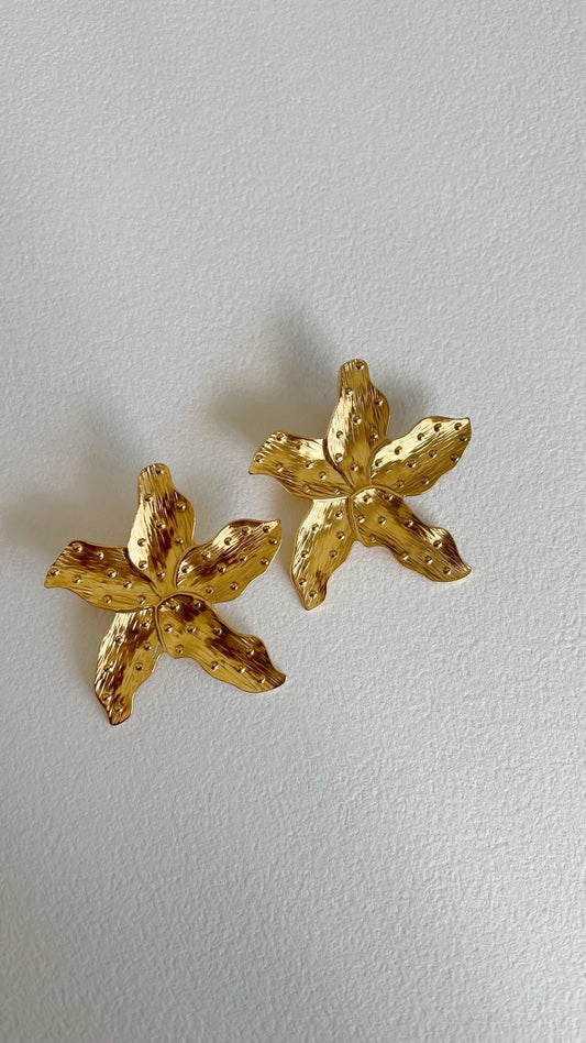 Gilded Palm - Khai Star Earrings